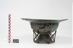 Foto von Bronzebreitrandfußschale (NHMW-PRAE-025437)